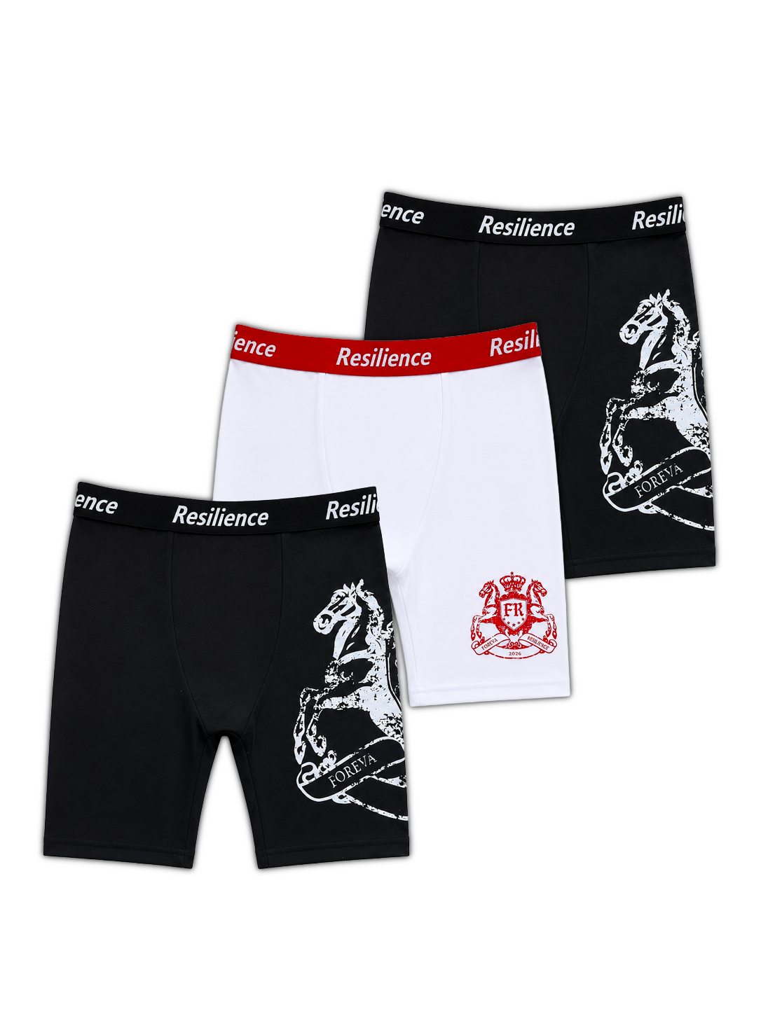 Resilience Briefs